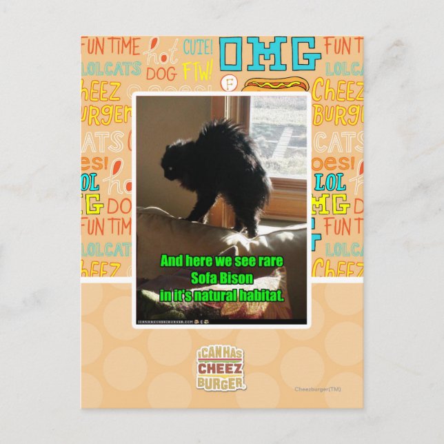 Carte Postale Bison de sofa (Devant)