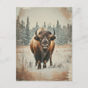Carte Postale Bison de Vintage