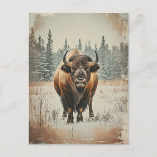 Carte Postale Bison de Vintage