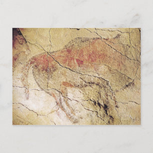 Carte Postale Bison des grottes d'Altamira, vers 15000 avant JC