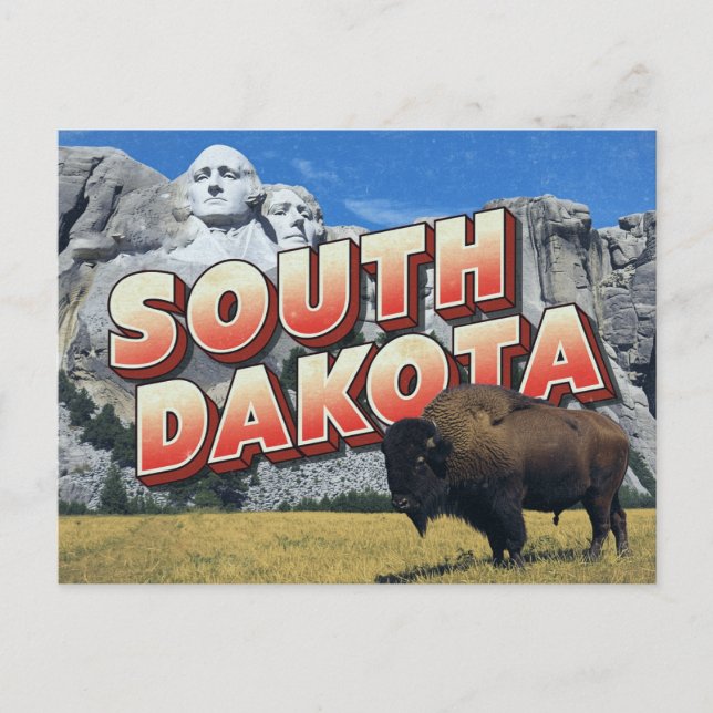 Carte Postale Bison du mont Rushmore du Dakota du Sud (Devant)