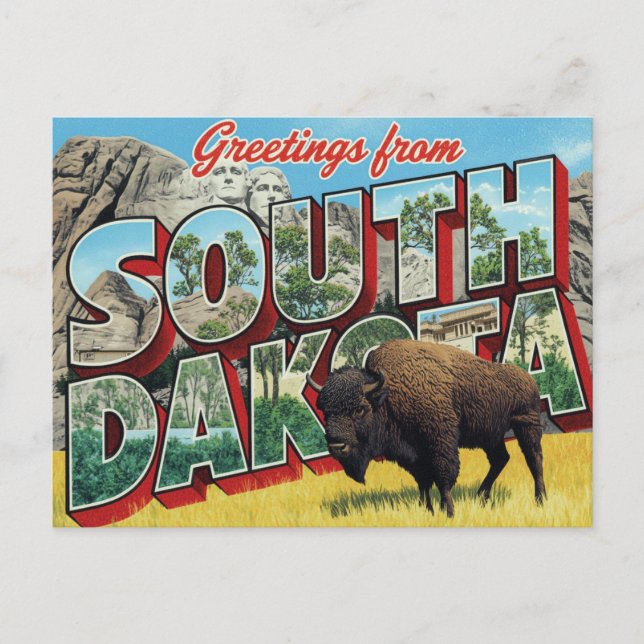 Carte Postale Bison du mont Rushmore du Dakota du Sud (Devant)