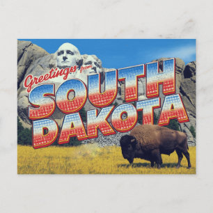Carte Postale Bison du mont Rushmore du Dakota du Sud