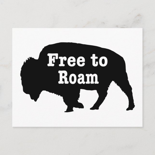 Carte Postale Bison libre de Roam (Devant)