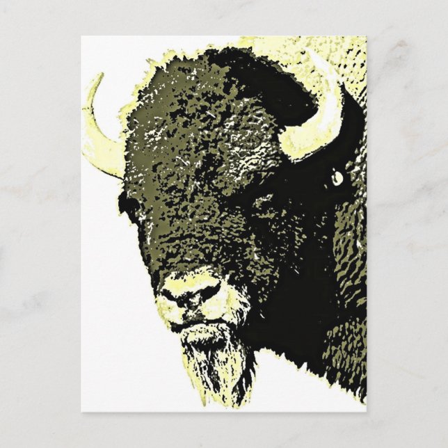 Carte Postale Bison Pop Art (Devant)