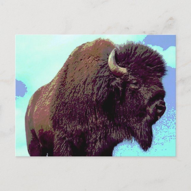 Carte Postale Bison Pop Art (Devant)