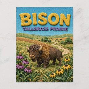 Carte Postale Bison Prairie à Herbes Hautes Moderne KlayKoo
