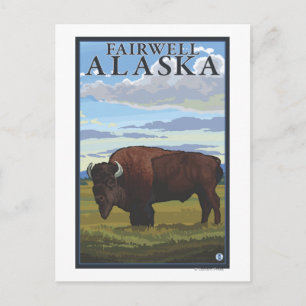 Carte Postale Bison Scene - Fairwell, Alaska