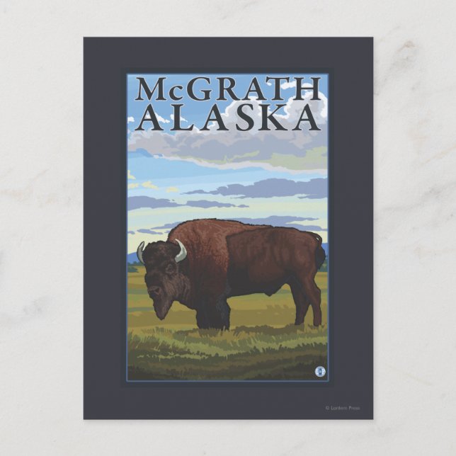 Carte Postale Bison Scene - McGrath, Alaska (Devant)