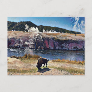 Carte postale Bison Wyoming Yellowstone Wildlife A