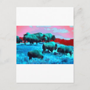 Carte Postale Bisons