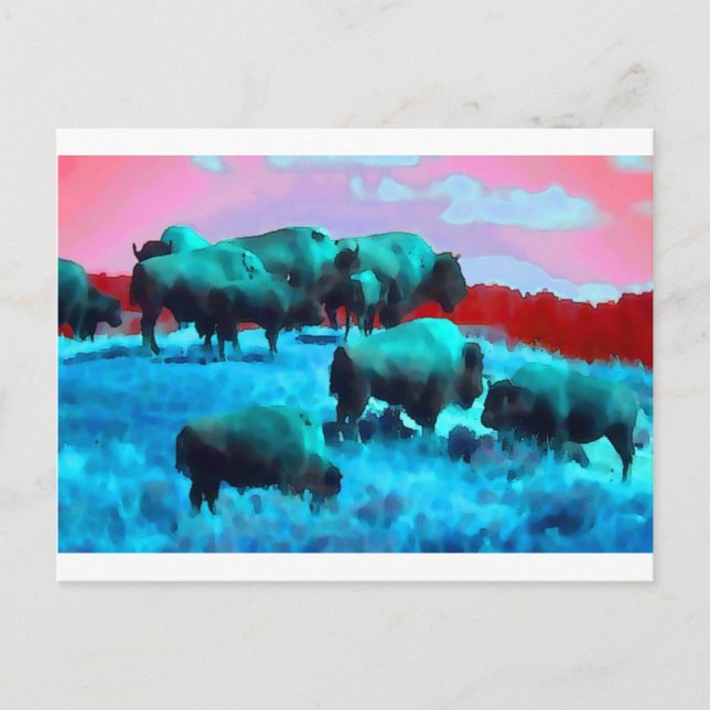 Carte Postale Bisons (Devant)