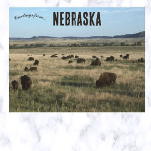 Carte Postale Bisons dans le Nebraska