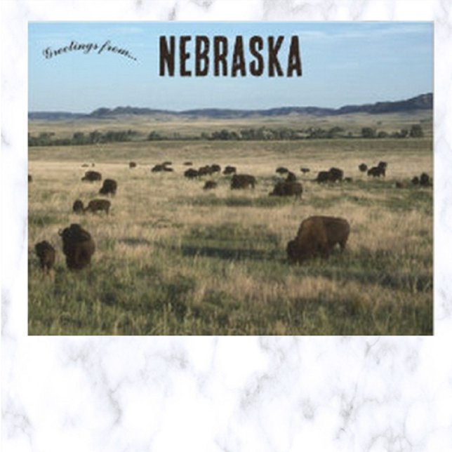 Carte Postale Bisons dans le Nebraska (Créateur téléchargé)
