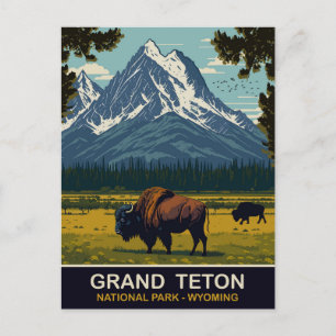 Carte Postale Bisons, Grand Teton Natural Park, Wyoming, Voyage