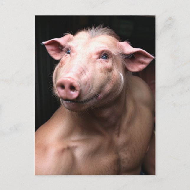 Carte Postale Bizarre hybride cochon humain (Devant)