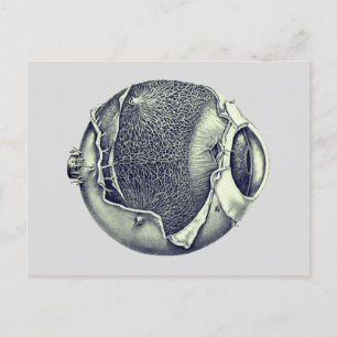 Carte Postale Bizarre moderne Vintage Eyeball détail dessin gris