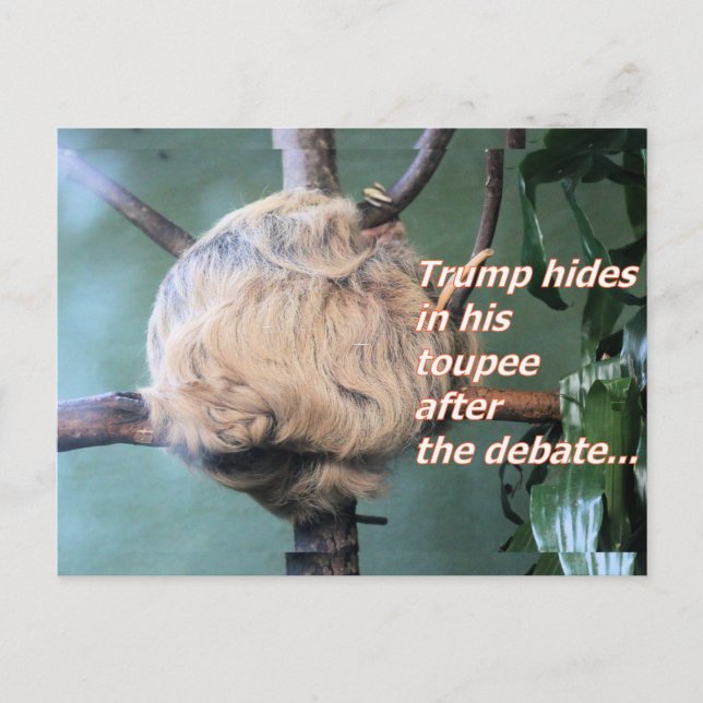 Carte postale bizarre perdue de Trump (Devant)