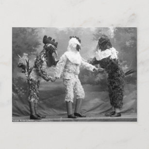 Carte Postale Bizarre photo Vintage des costumes de poulet