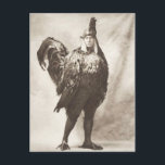 Carte Postale Bizarre photo Vintage du costume de poulet<br><div class="desc">Une photo victorienne vintage drôle et bizarre d'un homme habillé en costume de poulet.</div>
