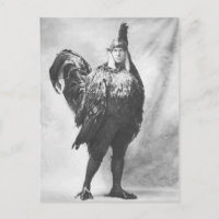 Bizarre photo Vintage du costume de poulet 