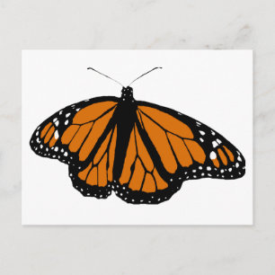 Carte Postale Black and Orange Monarch Butterfly