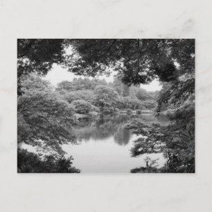 Carte Postale Black and white, cool, unique nature and lake