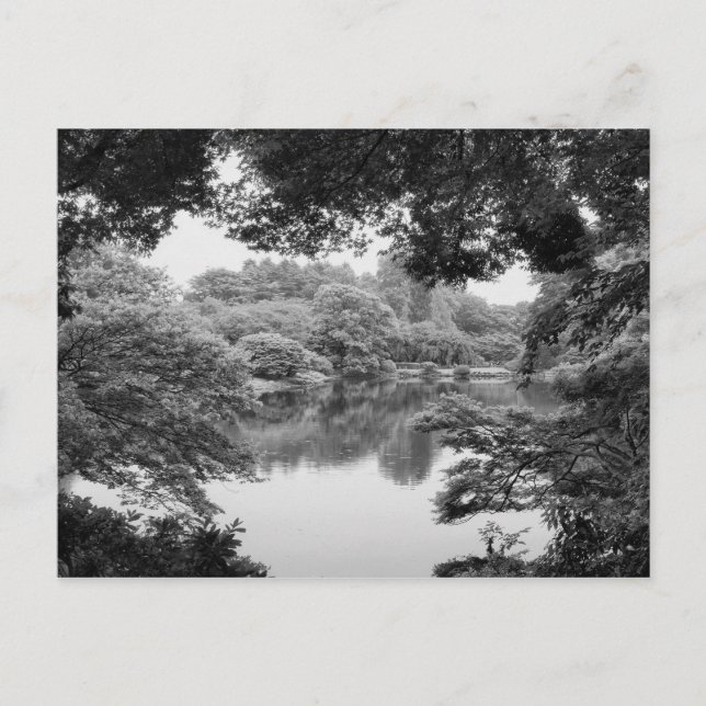 Carte Postale Black and white, cool, unique nature and lake (Devant)