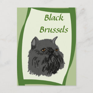 Carte Postale Black Brussels Griffon