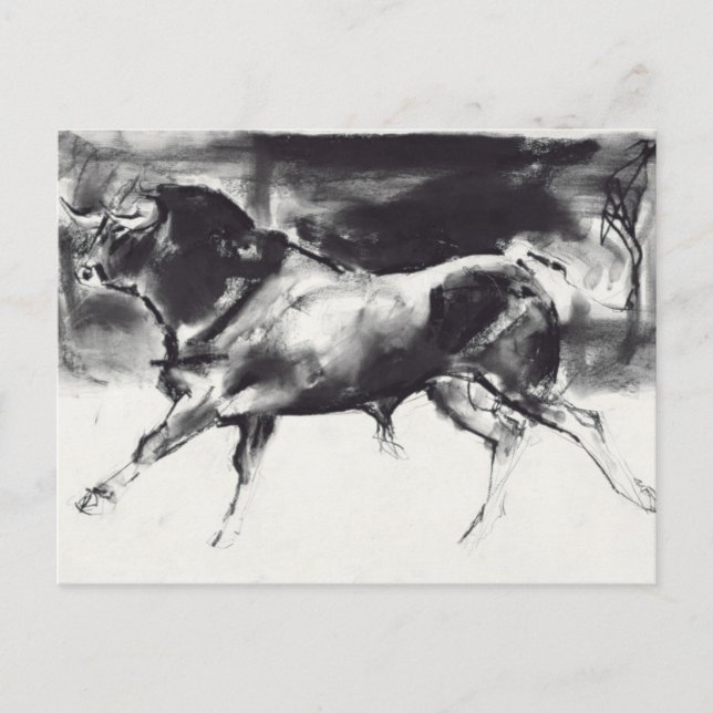 Carte Postale Black Bull (Devant)