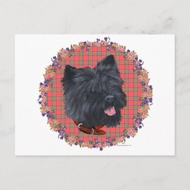 Carte Postale Black Cairn Head Study (Devant)