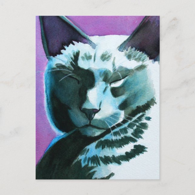 Carte Postale Black Cat Marina Regal (Devant)