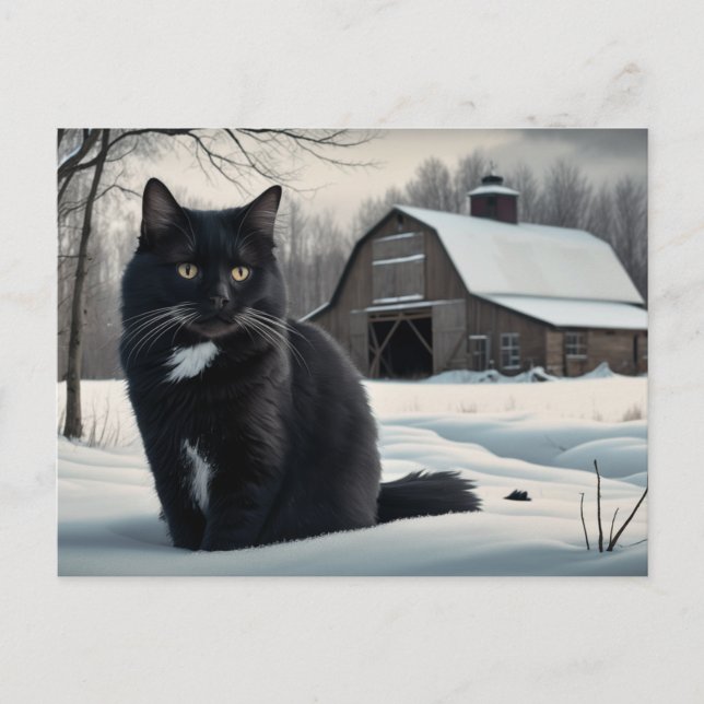 Carte Postale Black Cat  Série 2 02 (Devant)