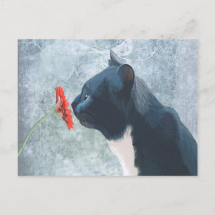 Carte Postale Black Cat Sniffing Flower