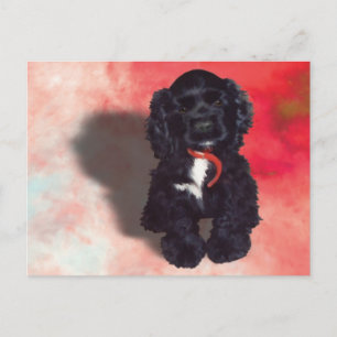 Carte Postale Black Cocker Spaniel Puppy - Abby