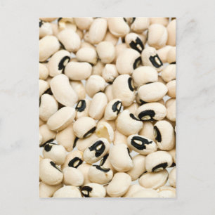 Carte Postale Black Eyed Peas