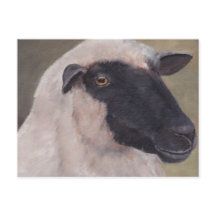 Carte postale Black Face Sheep Art