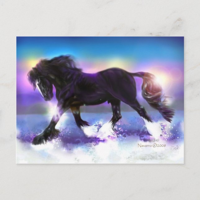 Carte Postale Black Foot Shire (Devant)