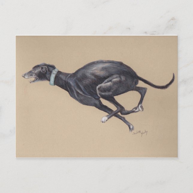 Carte postale Black Greyhound Running Chig Art (Devant)