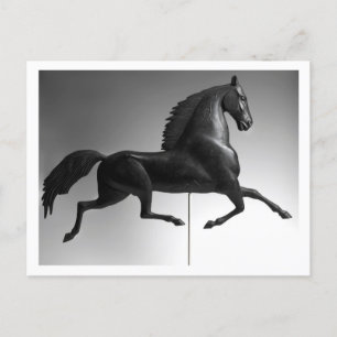 Carte Postale Black Hawk Weathervane