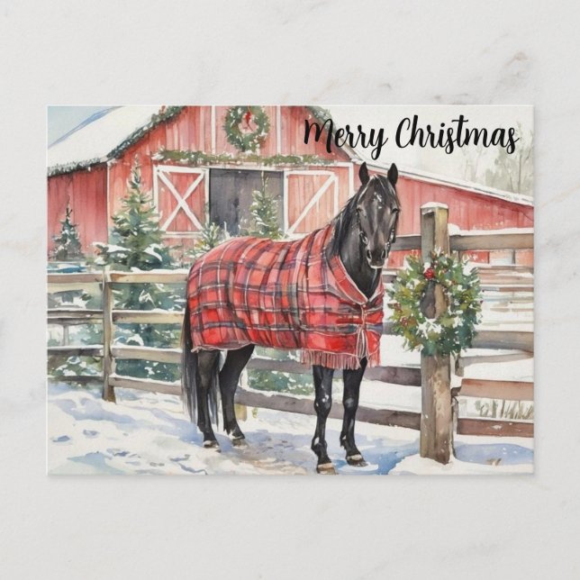 Carte Postale Black Horse Merry Christmas  (Devant)