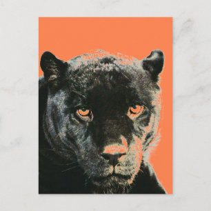 Carte postale Black Jaguar Panther