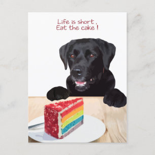 Carte Postale Black Lab - La vie est courte, mange le gâteau - L