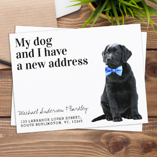 Carte Postale Black Lab Nous avons déplacé un nouveau chien d'ad