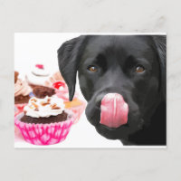 Black Lab Party - Anniversaire du Chien - Cupcake