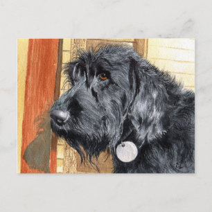 Carte postale Black Labradoodle #1