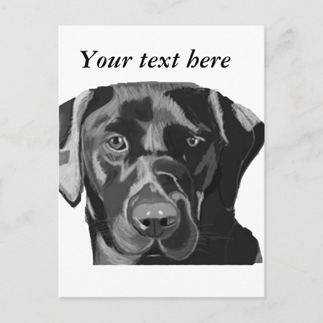 Carte Postale Black Labrador (Devant)