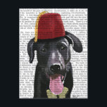 Carte Postale Black Labrador Avec Fès<br><div class="desc">Animaux</div>