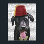 Carte Postale Black Labrador Avec Fès<br><div class="desc">Animaux</div>