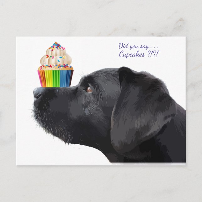Carte Postale Black Labrador - Avez-vous dit Cupcakes - Amoureux (Devant)